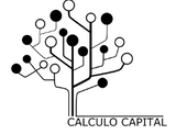 Calculo Capital
